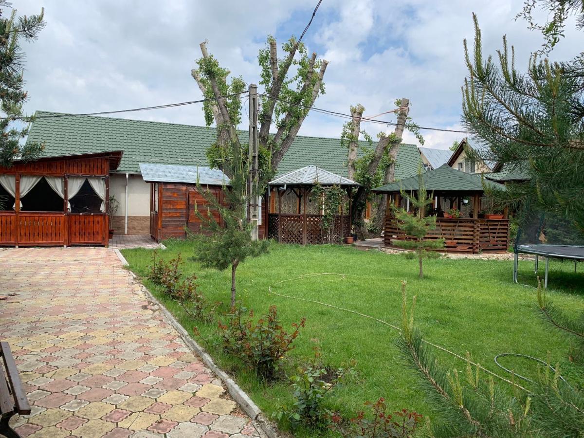 Pensiune Restaurant Rustic Rm Sarat Rimnicu Sarat Exteriér fotografie
